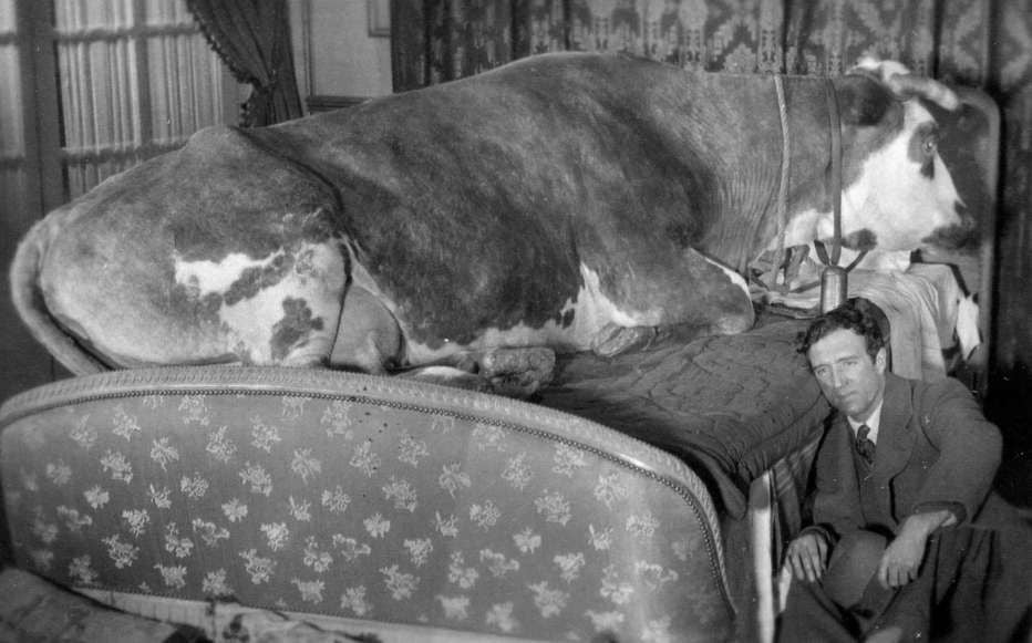 L'age d'or_Bunuel