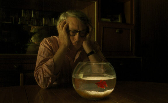 technoboss recensione